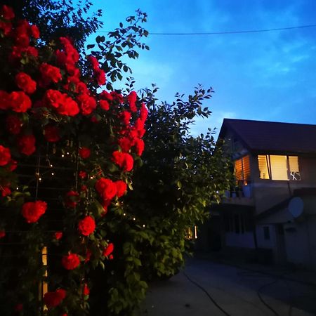 Cristalex Villaverde Bucharest Pantelimon エクステリア 写真