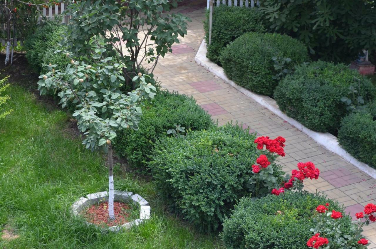 Cristalex Villaverde Bucharest Pantelimon エクステリア 写真